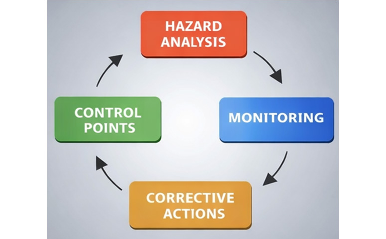 How HACCP Processing Ensures Export-Grade Seafood Quality